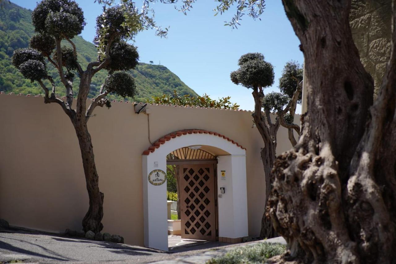Bed and breakfast Antonietta 5*
