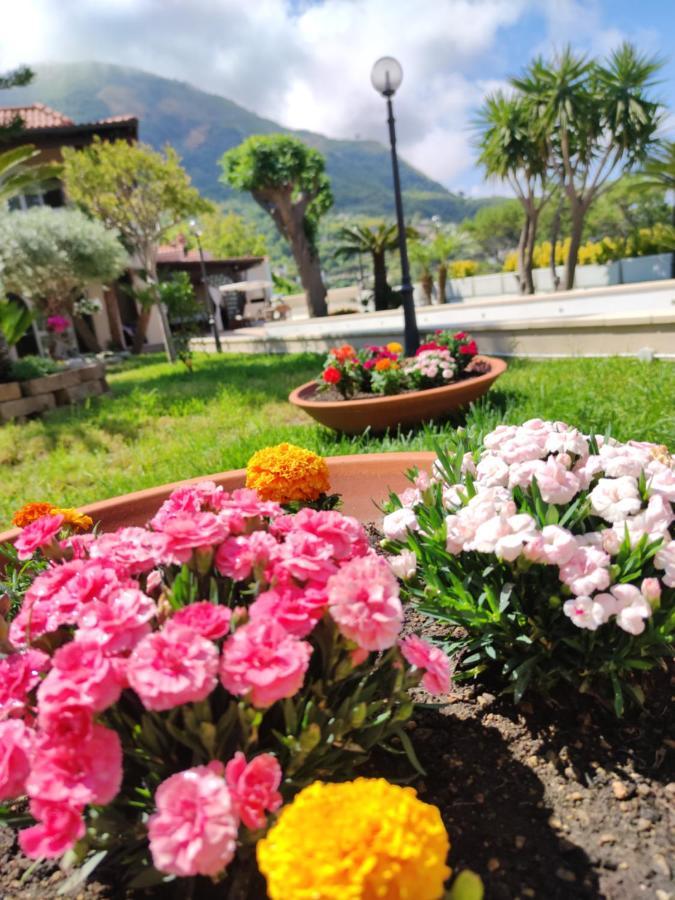 Antonietta Bed and breakfast