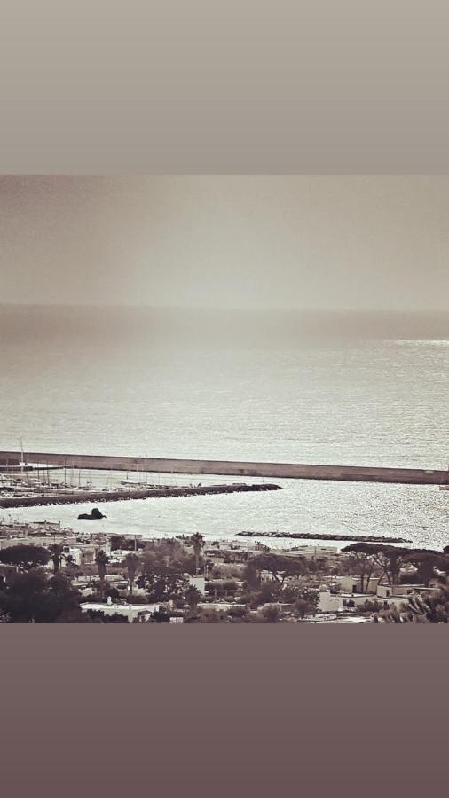 Antonietta Ischia
