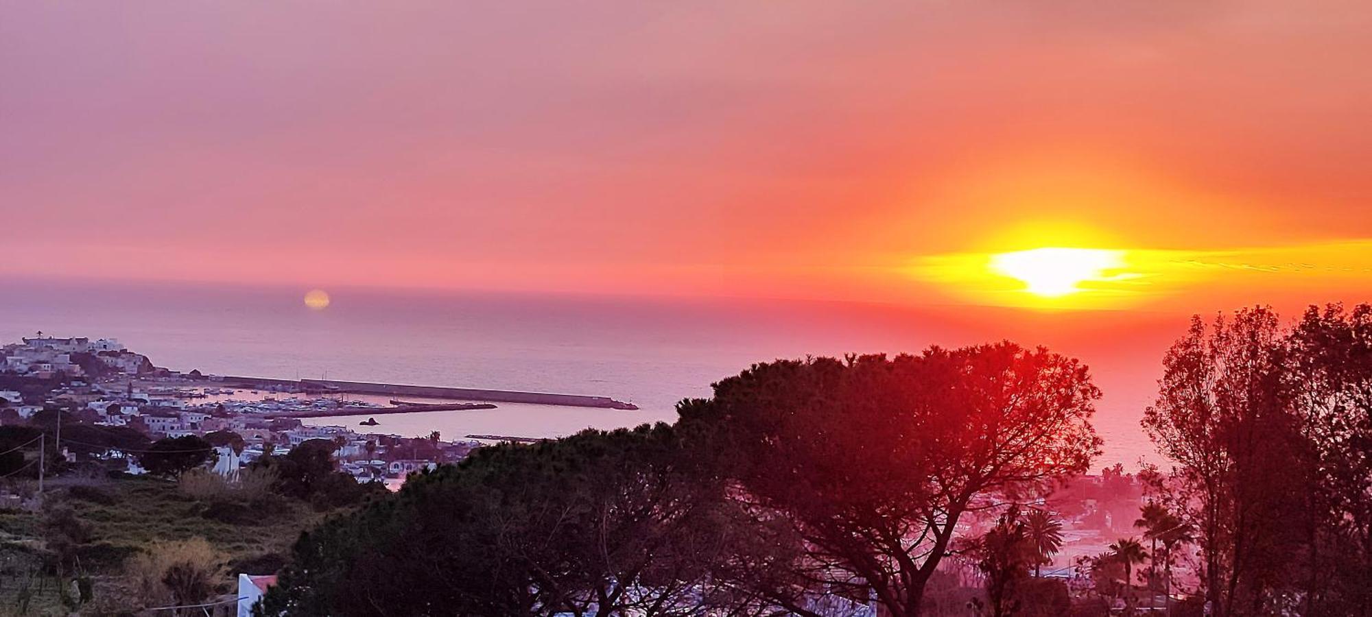 Antonietta Ischia